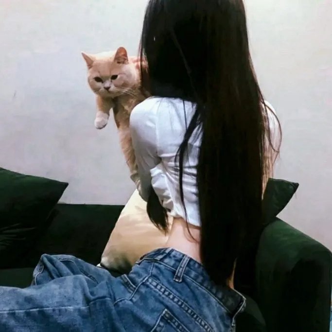 百姓春晚2011