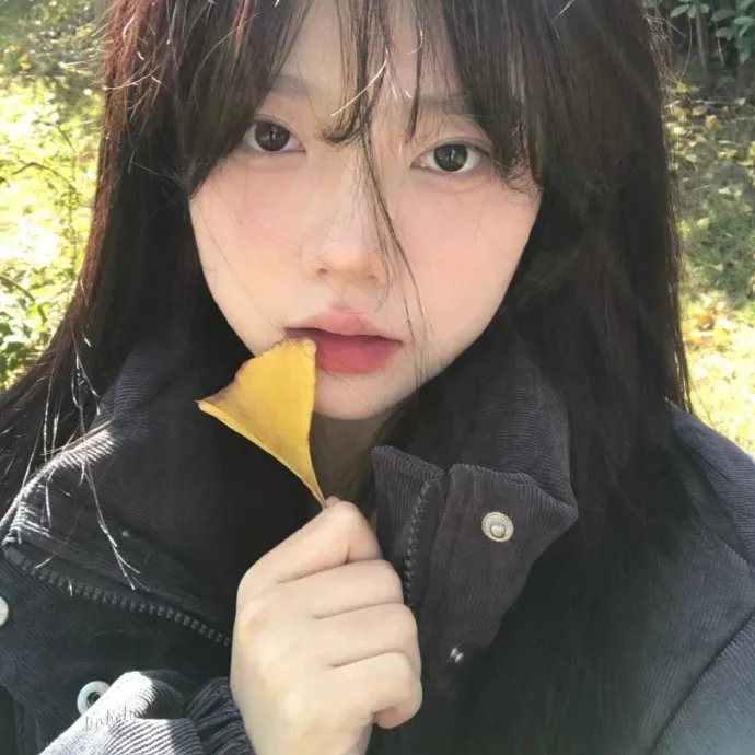 冰冻的闪光